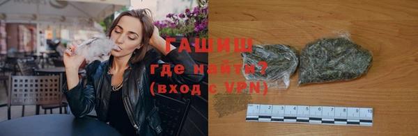прущие грибы Сосновый Бор