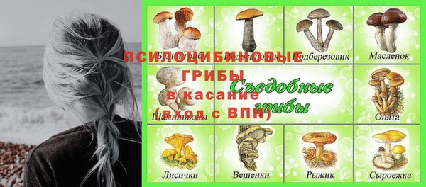 spice Сосновка