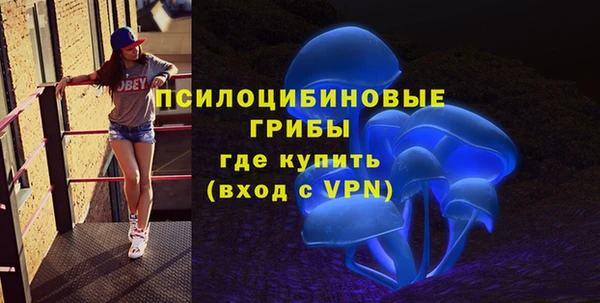 дживик Сясьстрой