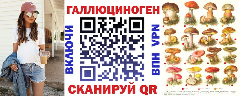 Галлюциногенные грибы прущие грибы  Юрьев-Польский 